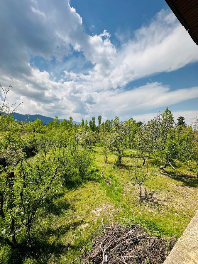 Sheen Homestay Gulmarg Exterior photo