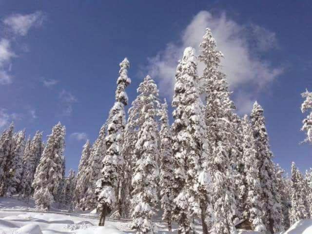 Sheen Homestay Gulmarg Exterior photo
